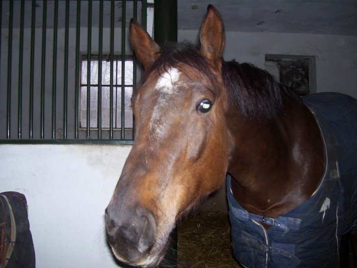 Freska